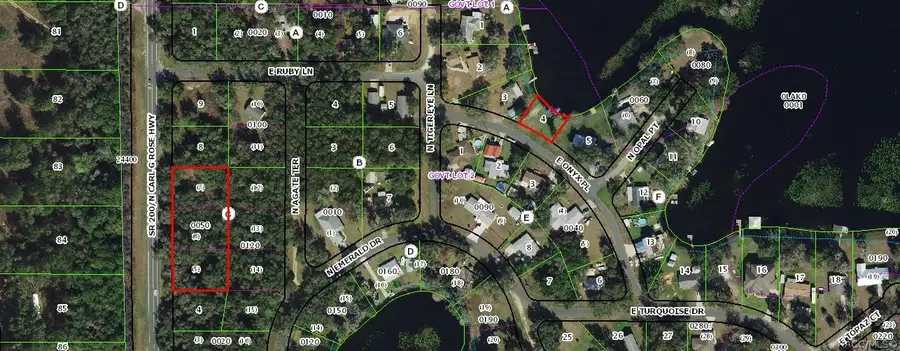 5075 N Carl G Rose Highway, Hernando, FL 34442 - #2