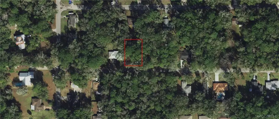 5975 E Calico Lane, Inverness, FL 34452 - #3