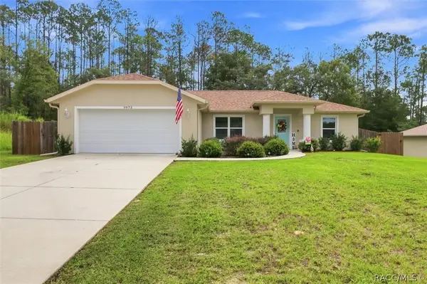9973 N Chelic Drive, Citrus Springs, FL 34434