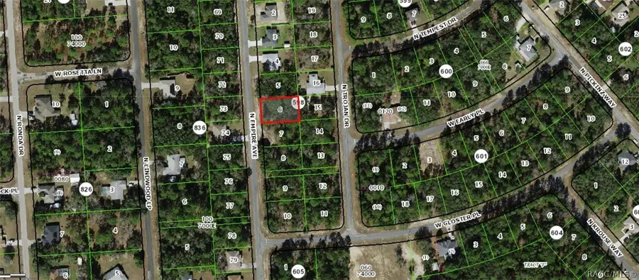 8365 N Empire Avenue, Citrus Springs, FL 34433 - #3