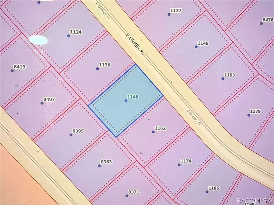 1148 E Urmey Place, Citrus Springs, FL 34434 - #3