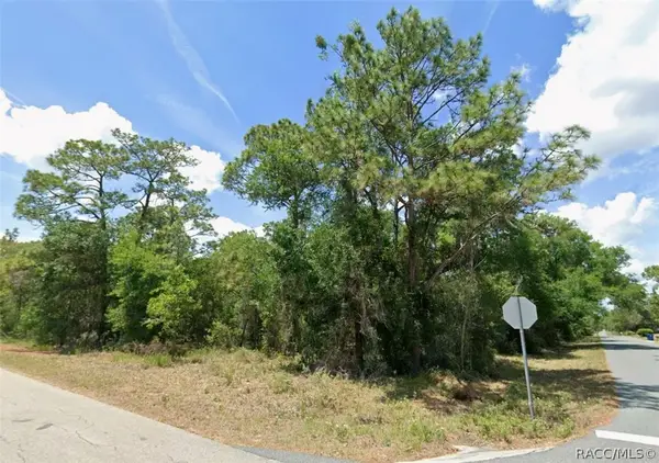 12350 S Gladiolus Point, Floral City, FL 34436