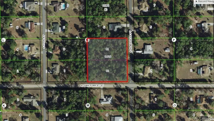 12350 S Gladiolus Point, Floral City, FL 34436 - #2