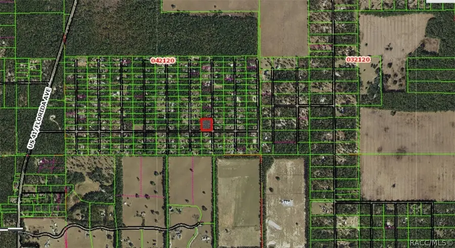 12350 S Gladiolus Point, Floral City, FL 34436 - #3