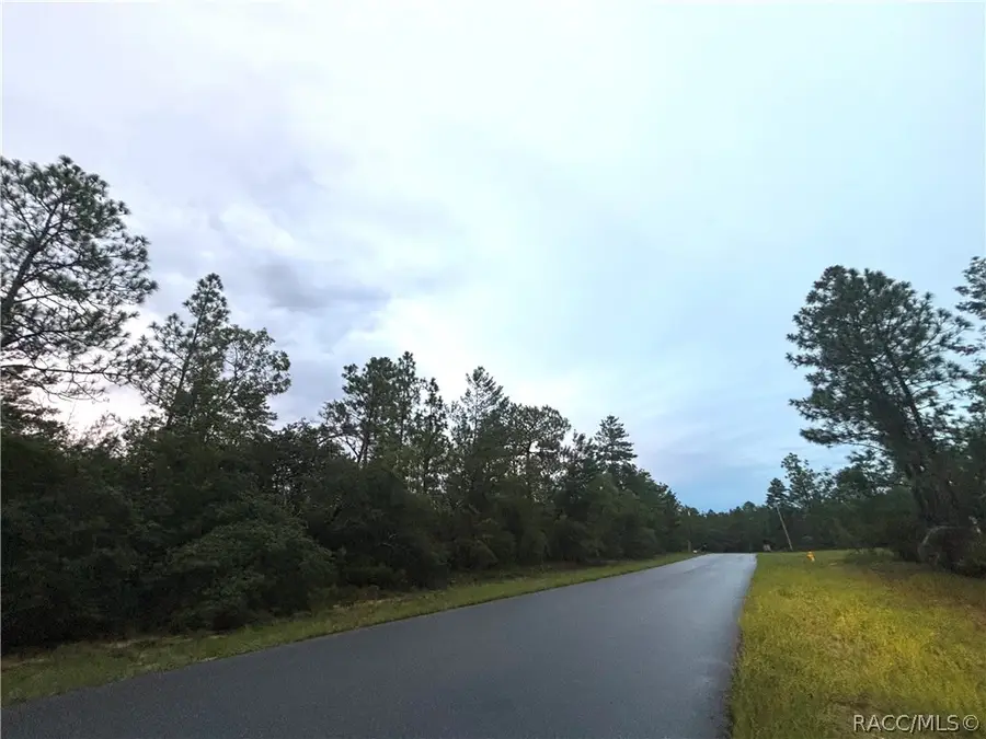 4043 & 4049 W Abeline Drive, Citrus Springs, FL 34433 - #2
