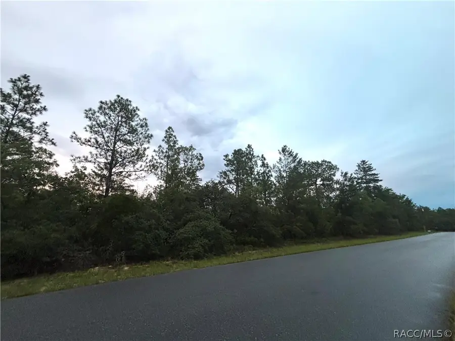 4043 & 4049 W Abeline Drive, Citrus Springs, FL 34433 - #3