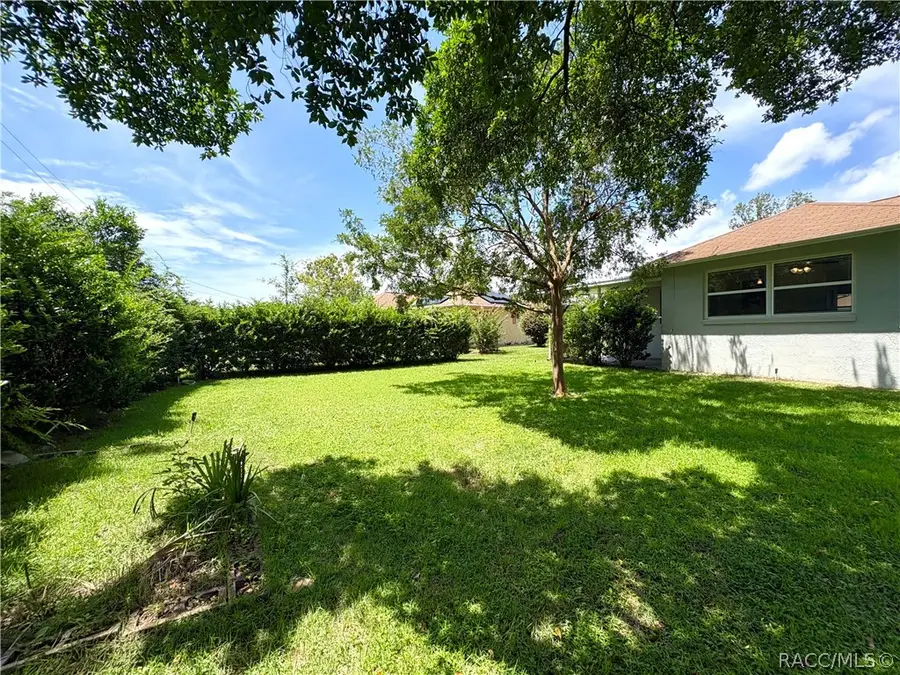 3123 N Maidencane Drive, Beverly Hills, FL 34465 - #2