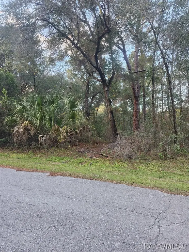 4029 E Walker Street, Inverness, FL 34453 - #2