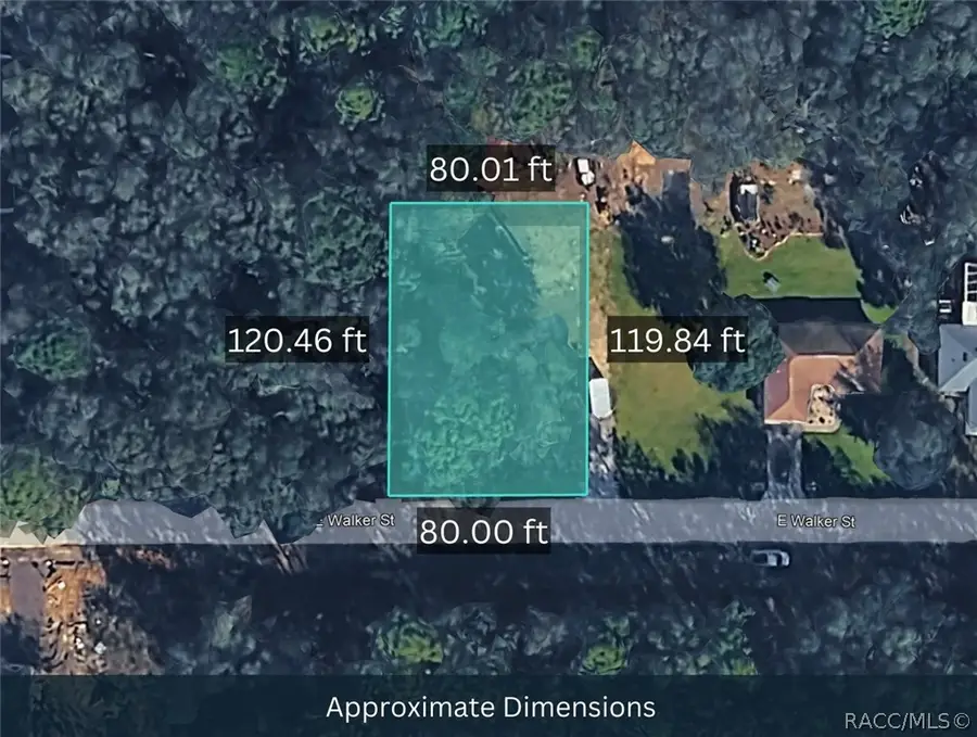 4029 E Walker Street, Inverness, FL 34453 - #3