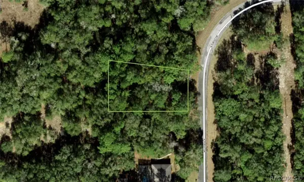 11308 N Fuego Drive, Citrus Springs, FL 34434