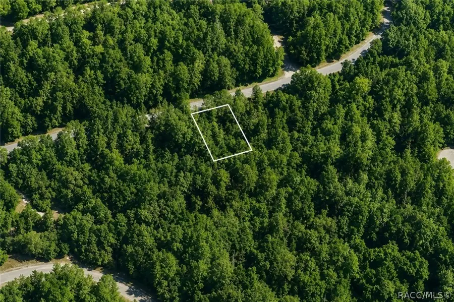 905 E Abend Drive, Dunnellon, FL 34434 - #2