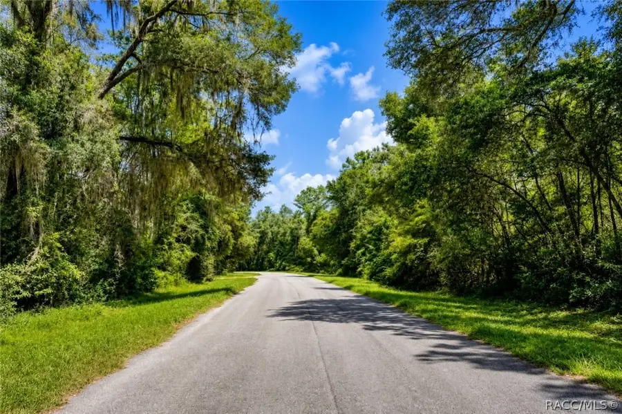 905 E Abend Drive, Dunnellon, FL 34434 - #3