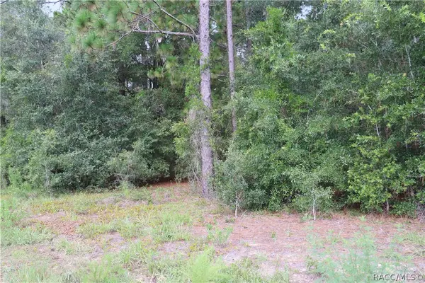 00 SW Floral Court, Dunnellon, FL 34431