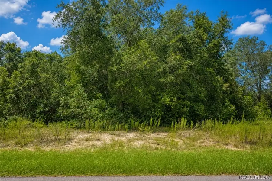 7622 N Fisher Terrace, Dunnellon, FL 34434 - #2