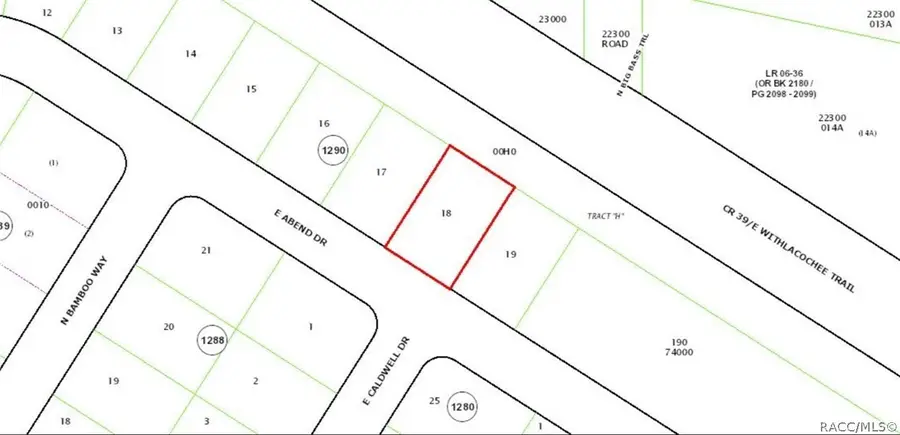687 E Abend Drive, Citrus Springs, FL 34434 - #2