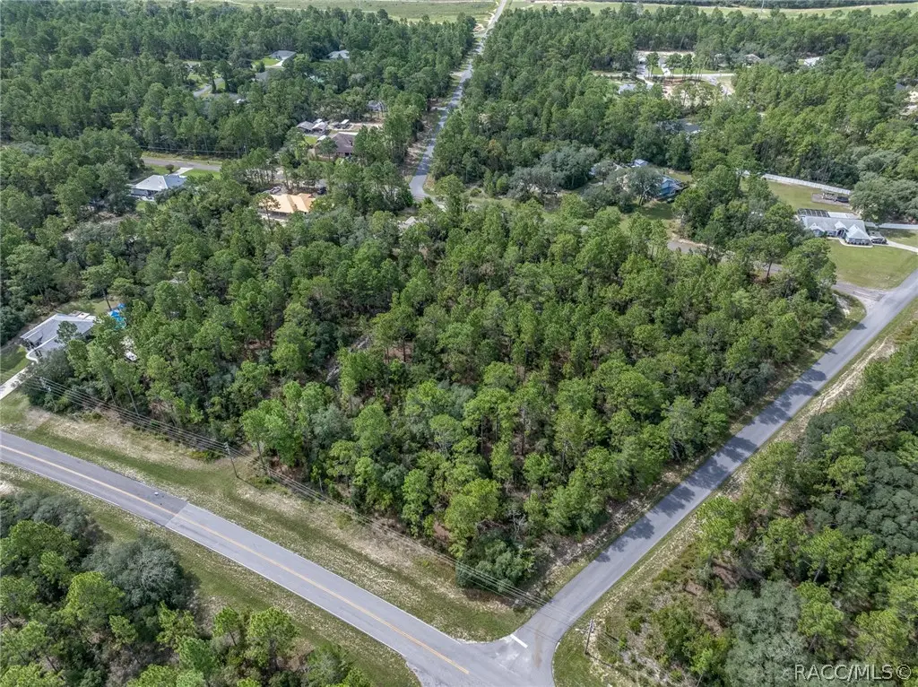 7293 N Windbrook Drive, Citrus Springs, FL 34433 - #1