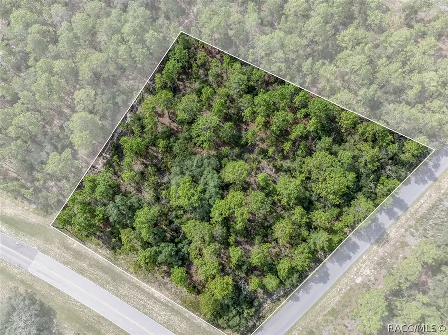 7293 N Windbrook Drive, Citrus Springs, FL 34433 - #2