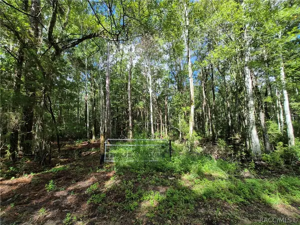 10622 S Le Baron Drive, Homosassa, FL 34448