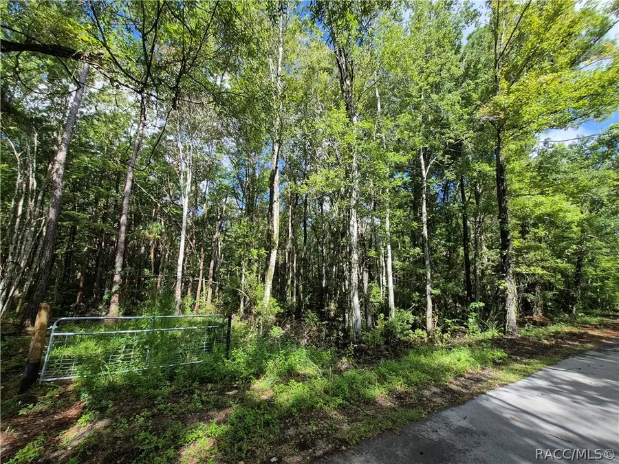10622 S Le Baron Drive, Homosassa, FL 34448 - #2