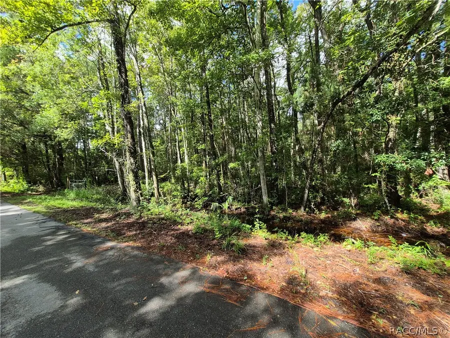 10622 S Le Baron Drive, Homosassa, FL 34448 - #3