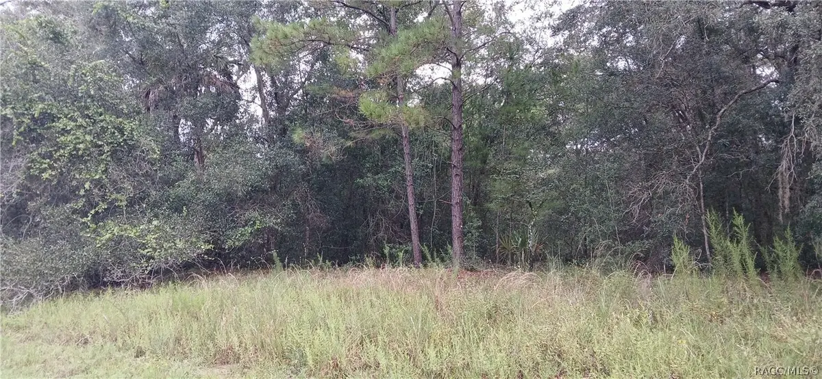 1623 E Ivydale Drive, Dunnellon, FL 34434 - #1