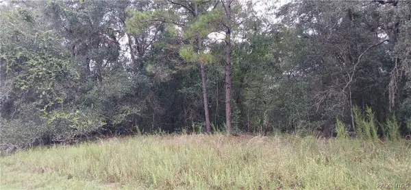 1623 E Ivydale Drive, Dunnellon, FL 34434