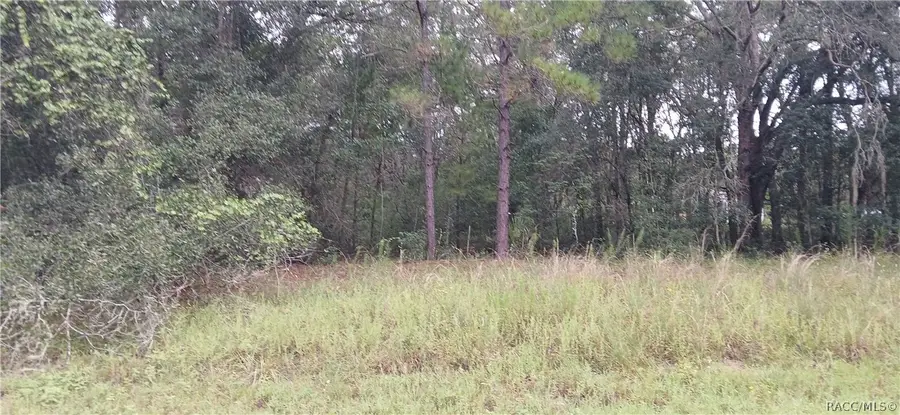 1623 E Ivydale Drive, Dunnellon, FL 34434 - #2