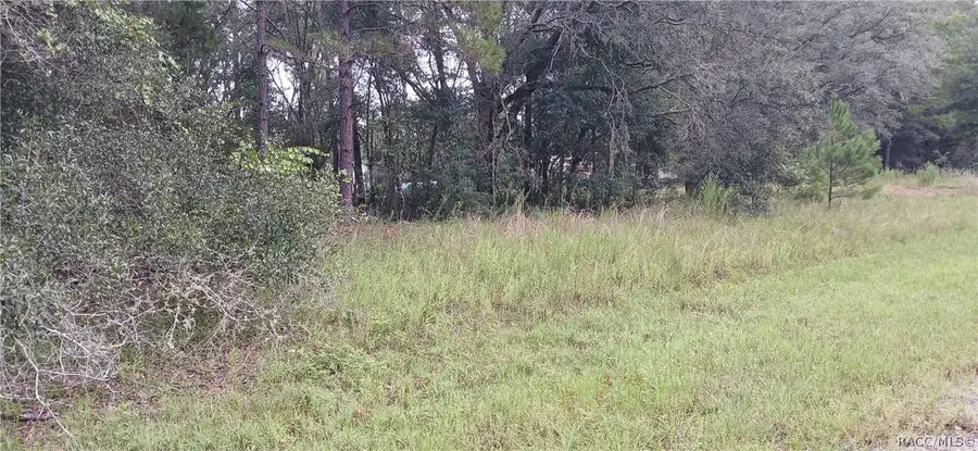 1623 E Ivydale Drive, Dunnellon, FL 34434 - #3