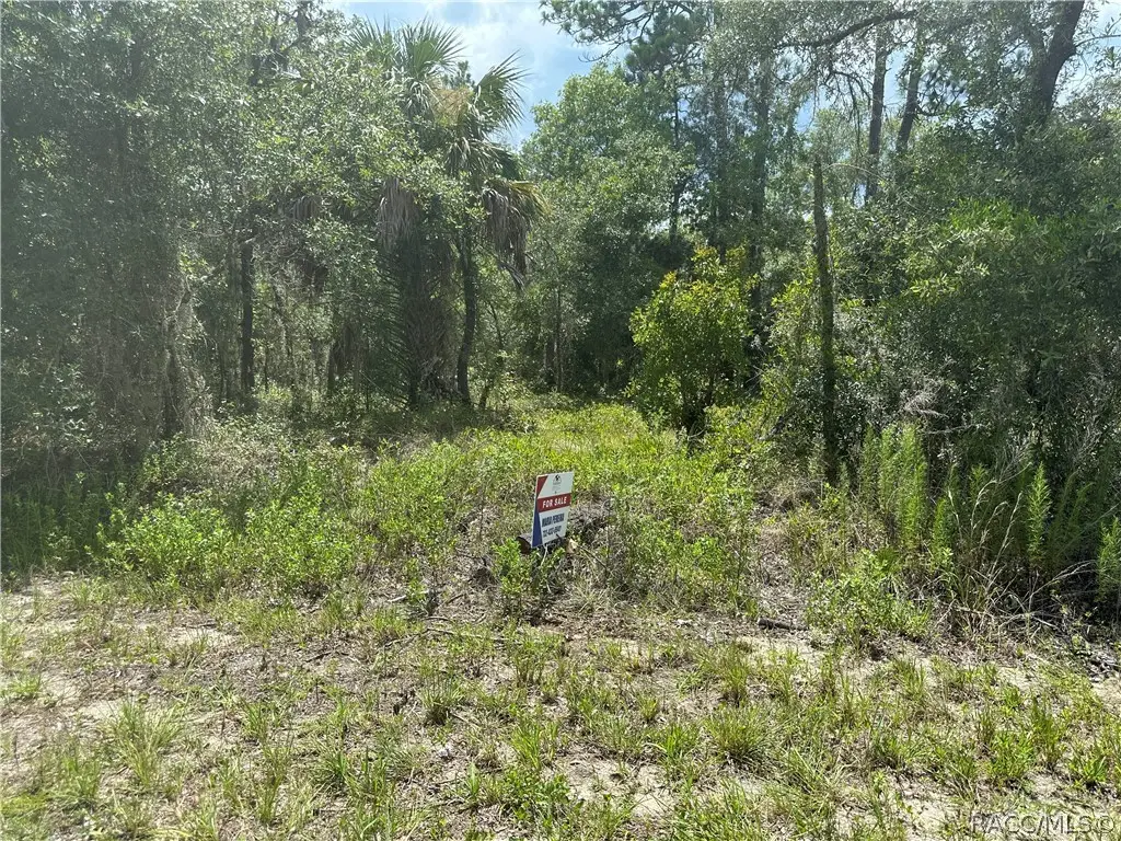 xx 125th Court, Dunnellon, FL 34431 - #1