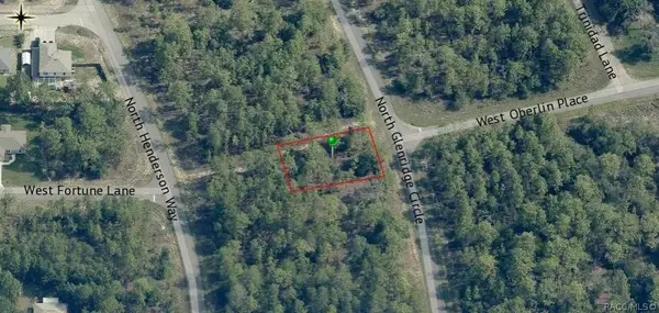 7040 N Glenridge Circle, Citrus Springs, FL 34434