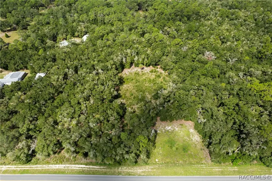7706 N Citrus Avenue, Crystal River, FL 34428 - #3