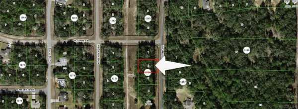 10732 N Academy Drive, Citrus Springs, FL 34434