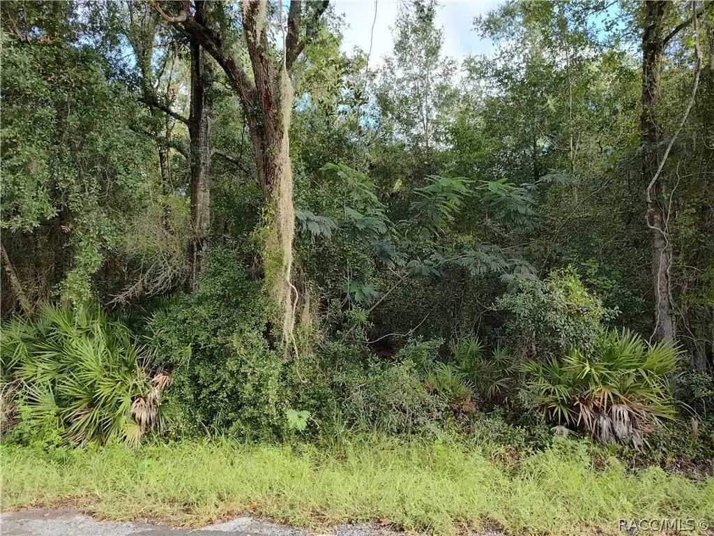 6869 W Van Buren Drive, Homosassa, FL 34448 - #1