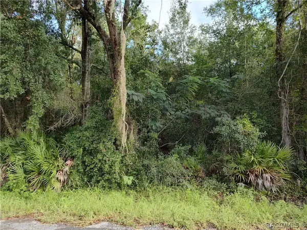 6869 W Van Buren Drive, Homosassa, FL 34448