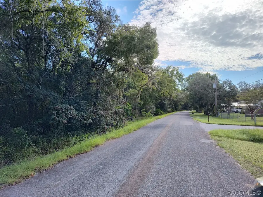 6869 W Van Buren Drive, Homosassa, FL 34448 - #2