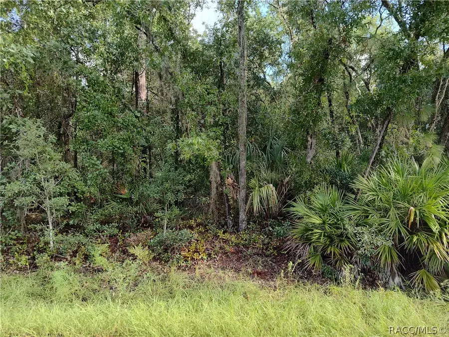 6869 W Van Buren Drive, Homosassa, FL 34448 - #3