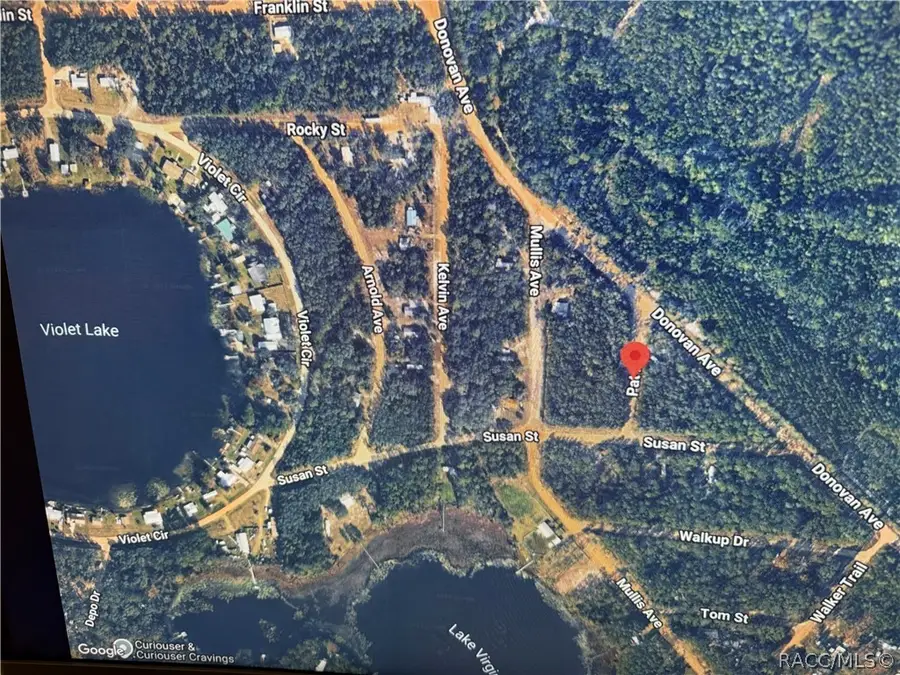 107 Pat Avenue, Interlachen, FL 32148 - #3