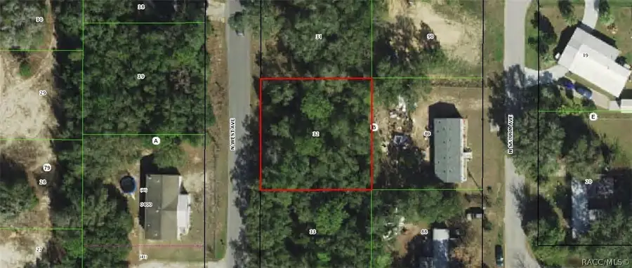 91 N West Avenue, Inverness, FL 34453 - #2