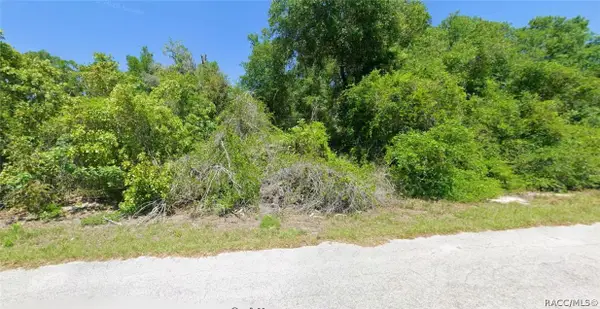 4363 E Wharf Lane, Hernando, FL 34442