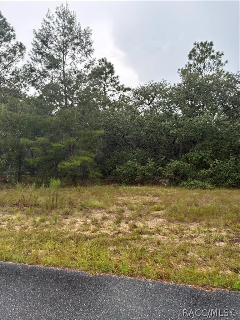 1001 W Bannister Drive, Citrus Springs, FL 34434 - #1