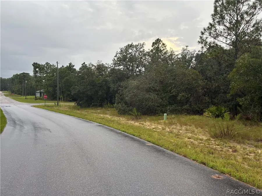 1001 W Bannister Drive, Citrus Springs, FL 34434 - #2