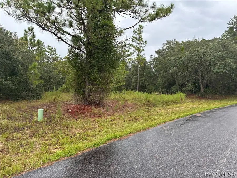 1001 W Bannister Drive, Citrus Springs, FL 34434 - #3