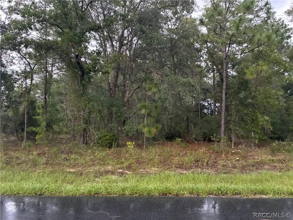 7351 N Waycross Way, Citrus Springs, FL 34433 - #1