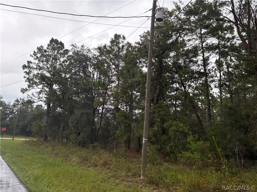 7351 N Waycross Way, Citrus Springs, FL 34433 - #2