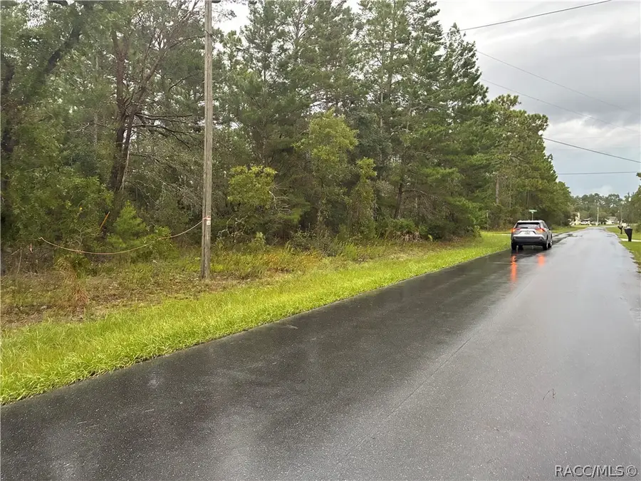7351 N Waycross Way, Citrus Springs, FL 34433 - #3