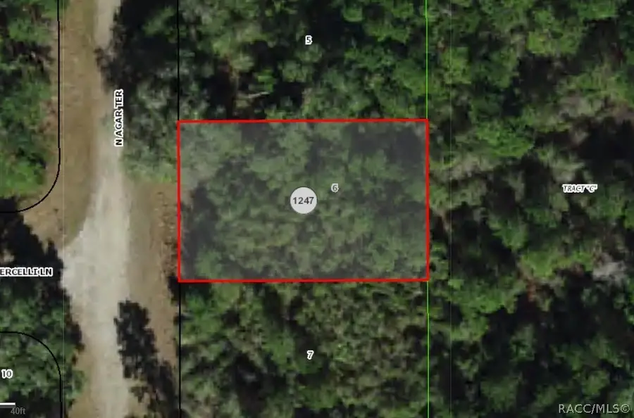 9409 N Agar Terrace, Citrus Springs, FL 34434 - #3
