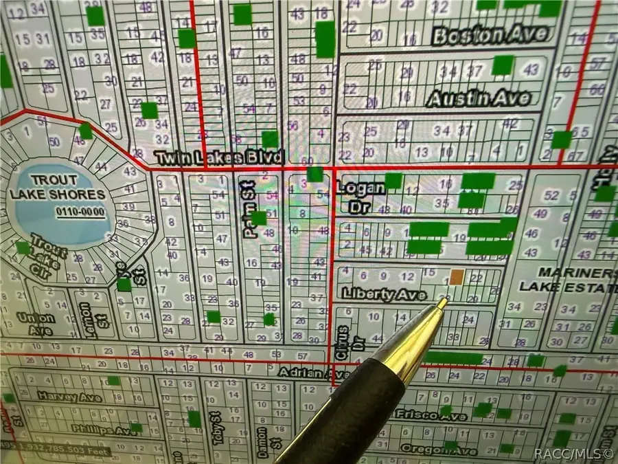 00 Unassigned Estates, Interlachen, FL 32148 - #2