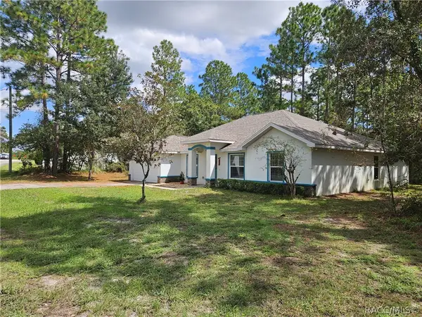41 Fringetree Street, Homosassa, FL 34446