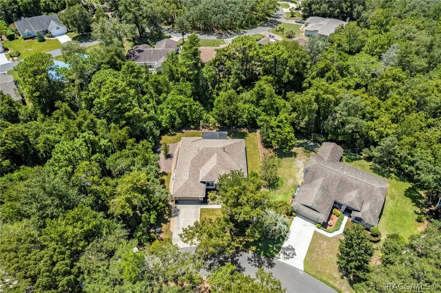 14 Redbay Court E, Homosassa, FL 34446 - #3