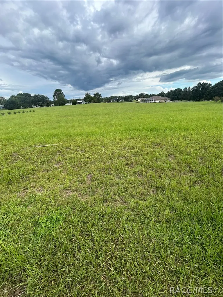 578 E Connecticut Lane, Hernando, FL 34442 - #1